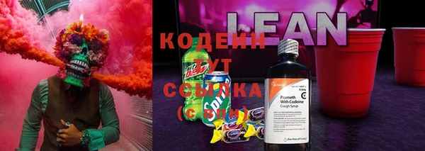 стаф Сатка