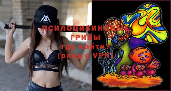 трава Алзамай