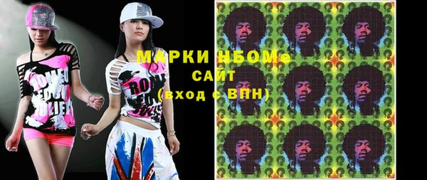 сатива Аркадак