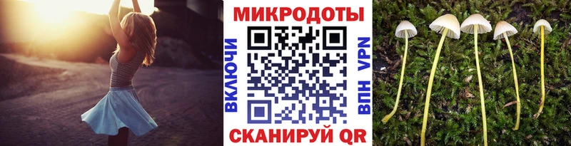 Галлюциногенные грибы мицелий Бологое